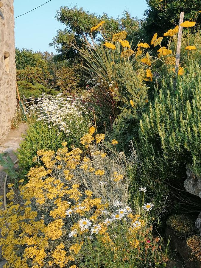La Tour Du Bois Dormant Bed & Breakfast Plozevet Luaran gambar